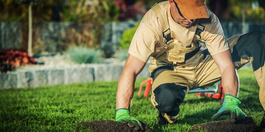 how to start a landscaping business Business Growth and Success