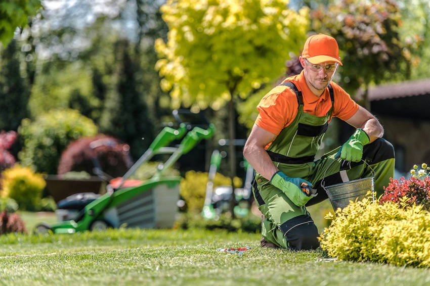 how to start a landscaping business: Setting up